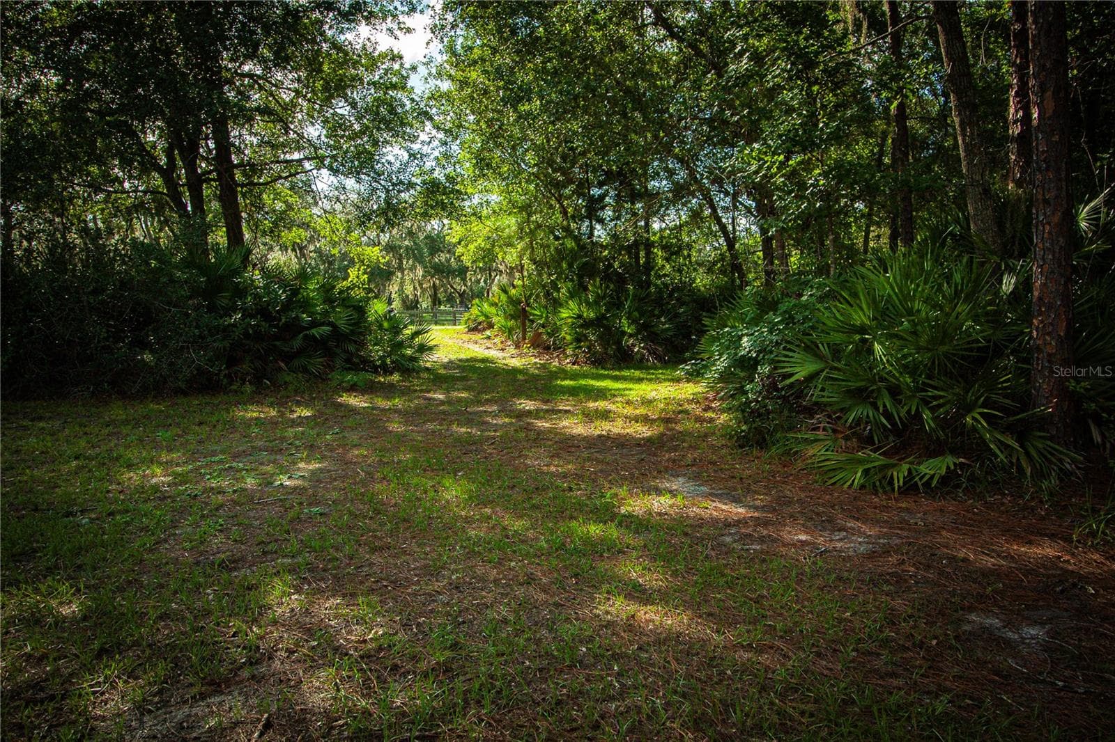 Land at 54720 ASTOR TRANSFER STATION RD, ASTOR, photo 19 of 24