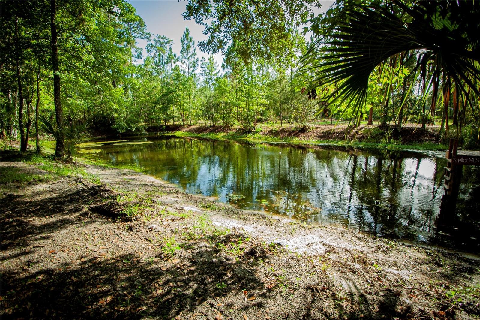 Land at 54720 ASTOR TRANSFER STATION RD, ASTOR, photo 20 of 24