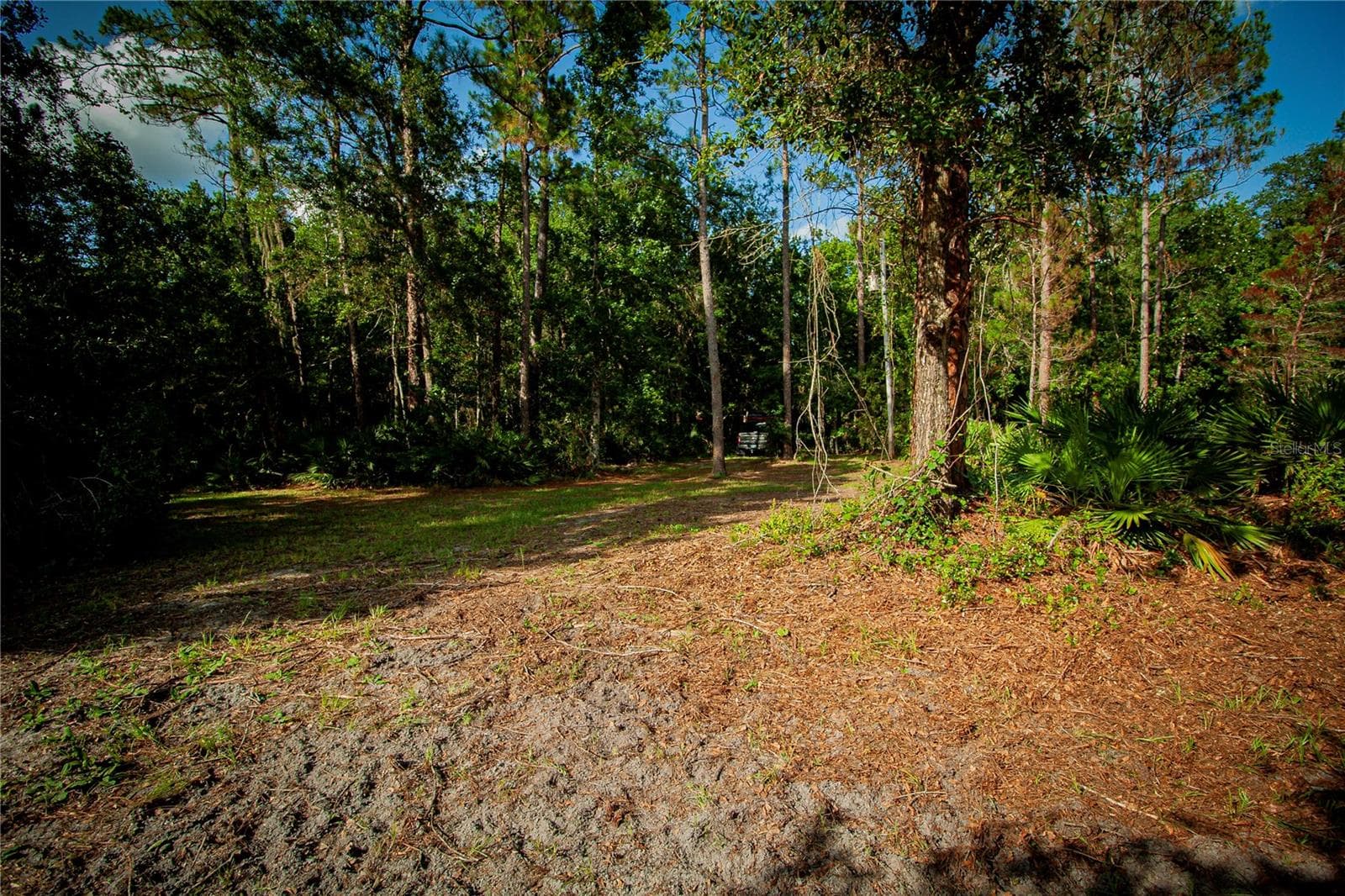 Land at 54720 ASTOR TRANSFER STATION RD, ASTOR, photo 21 of 24