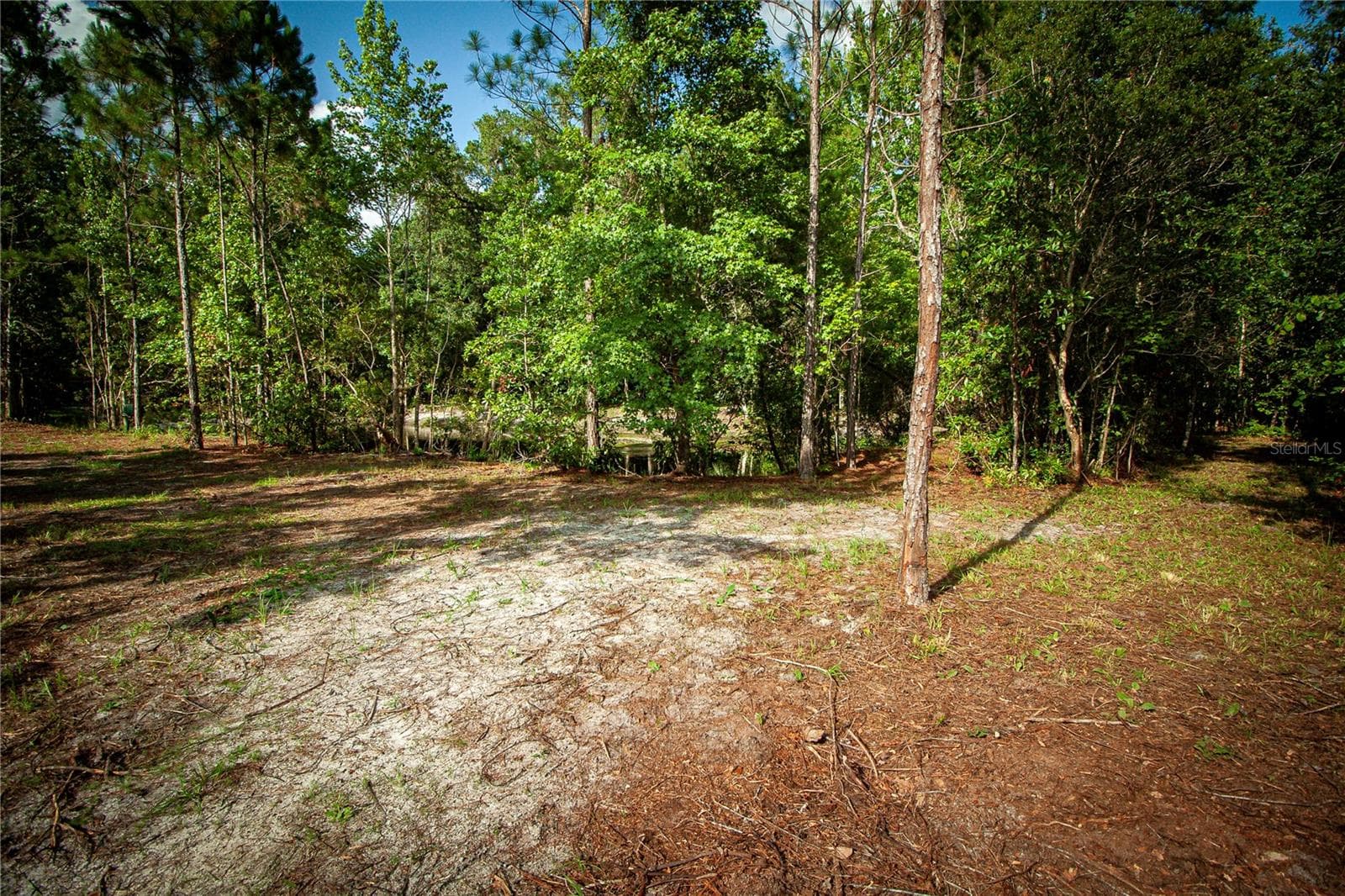 Land at 54720 ASTOR TRANSFER STATION RD, ASTOR, photo 22 of 24