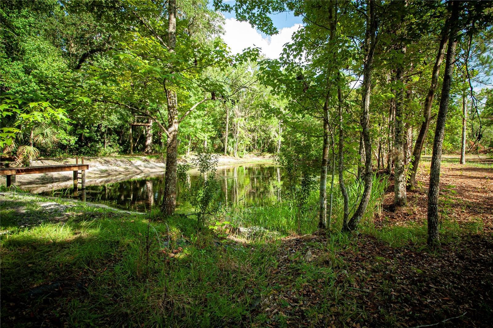 Land at 54720 ASTOR TRANSFER STATION RD, ASTOR, photo 23 of 24