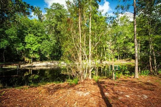 Land at 54720 ASTOR TRANSFER STATION RD, ASTOR, photo 24 of 24