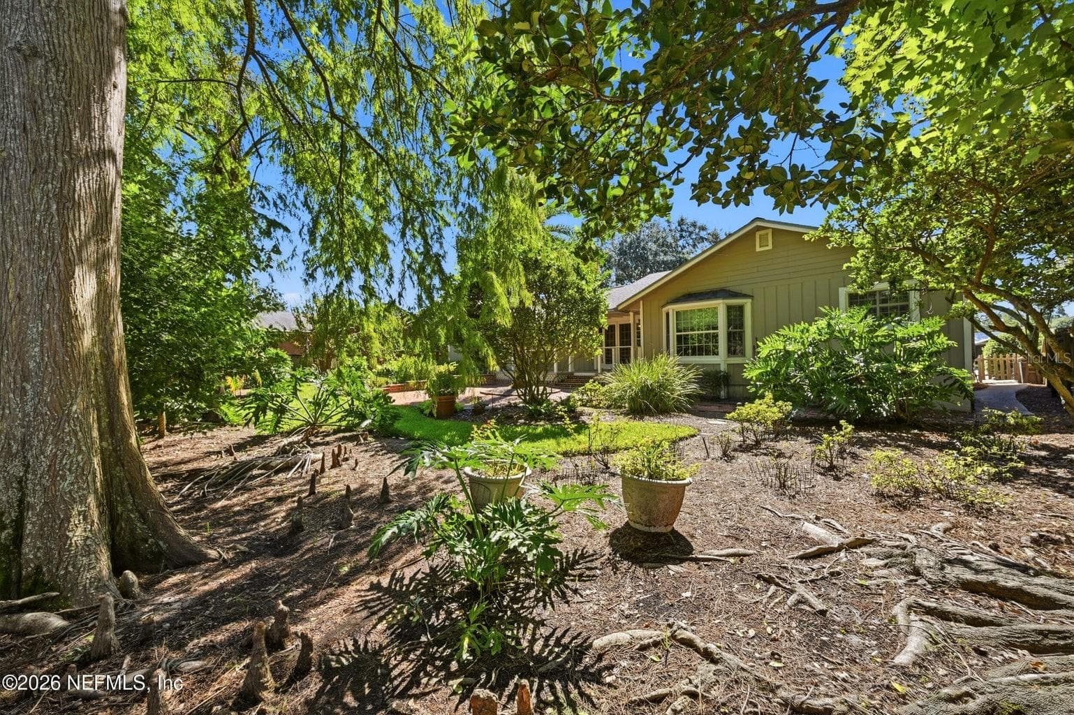 Backyard - VENETIA SEC 03, JACKSONVILLE