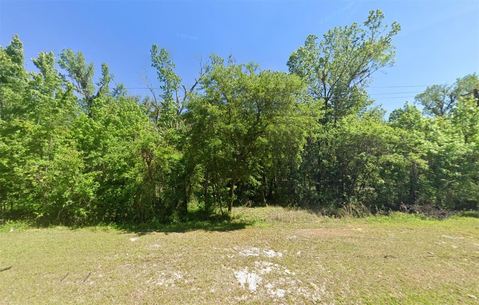 Land at 33901 ST JOE RD, DADE CITY, photo 2 of 5