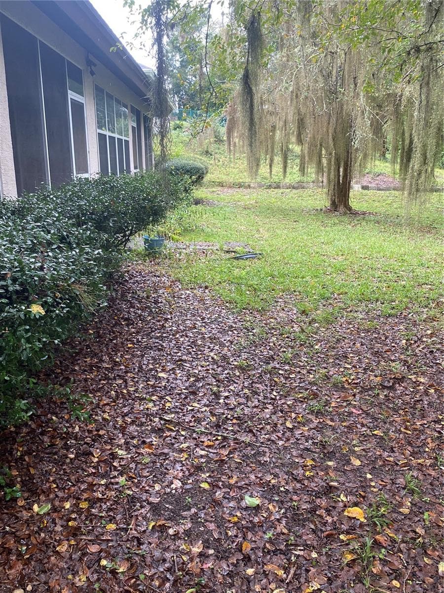 Backyard views - 11492 SW 82ND COURT RD, OCALA