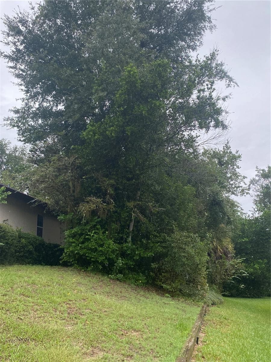 Side views - 11492 SW 82ND COURT RD, OCALA