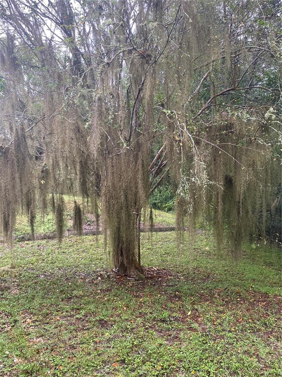 views of the backyard - 11492 SW 82ND COURT RD, OCALA