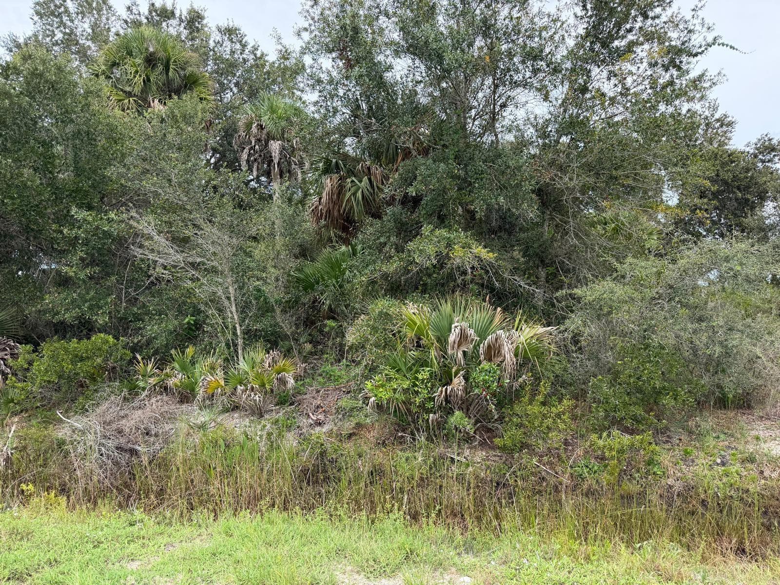 Land at 16434 NW 318TH ST, OKEECHOBEE, photo 2 of 7