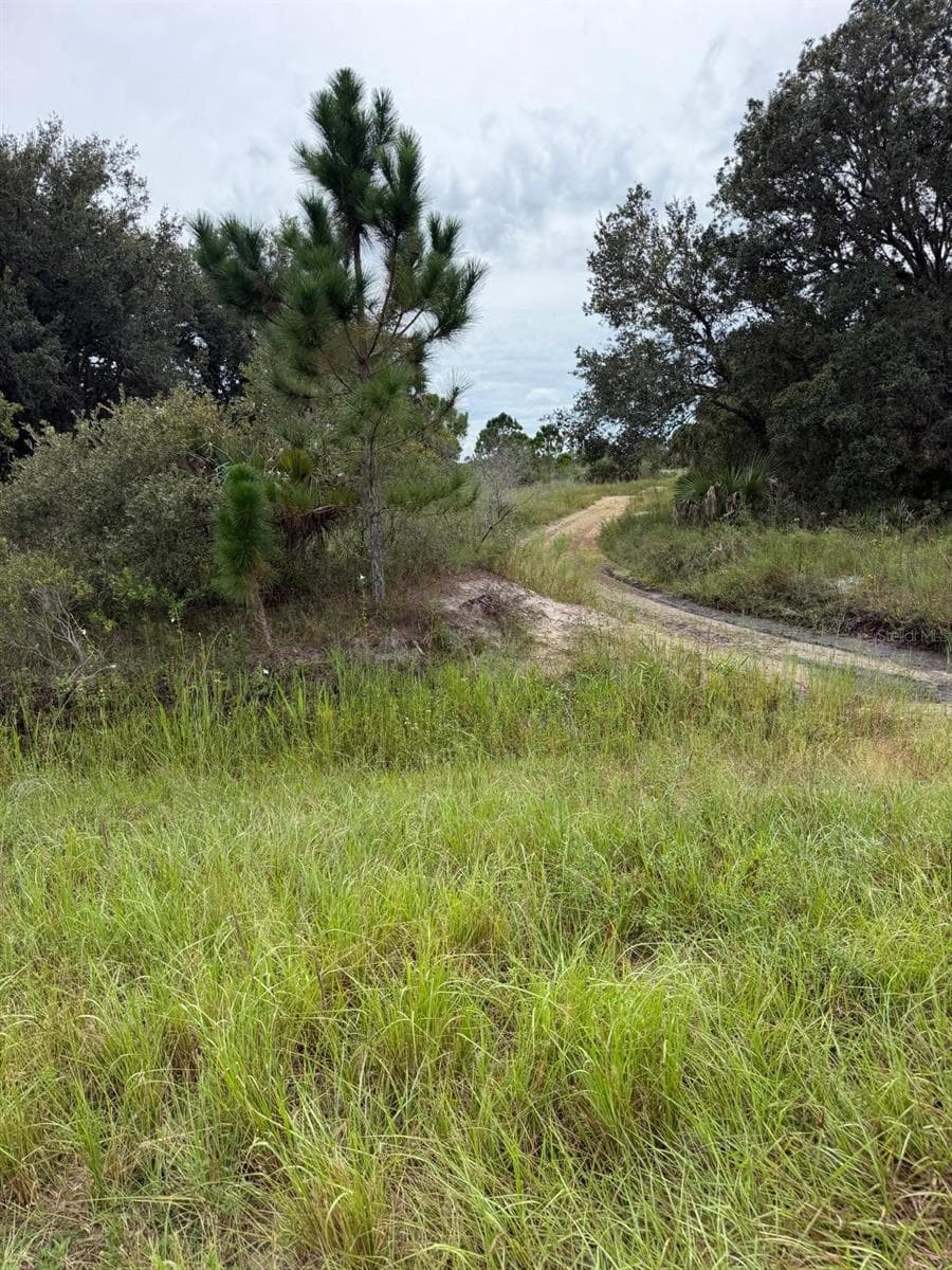Land at 16434 NW 318TH ST, OKEECHOBEE, photo 5 of 7