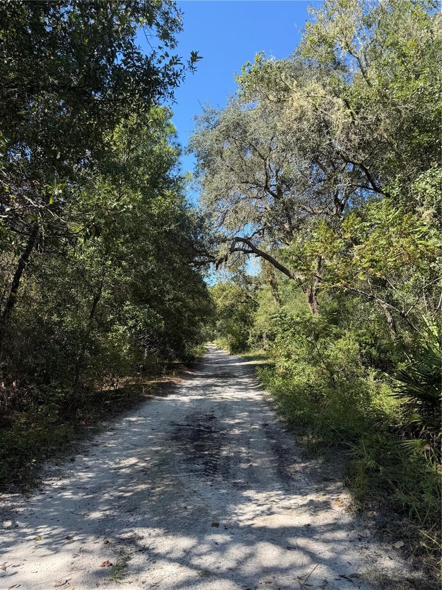 Land at TBD SW 151ST PL, DUNNELLON, photo 2 of 4
