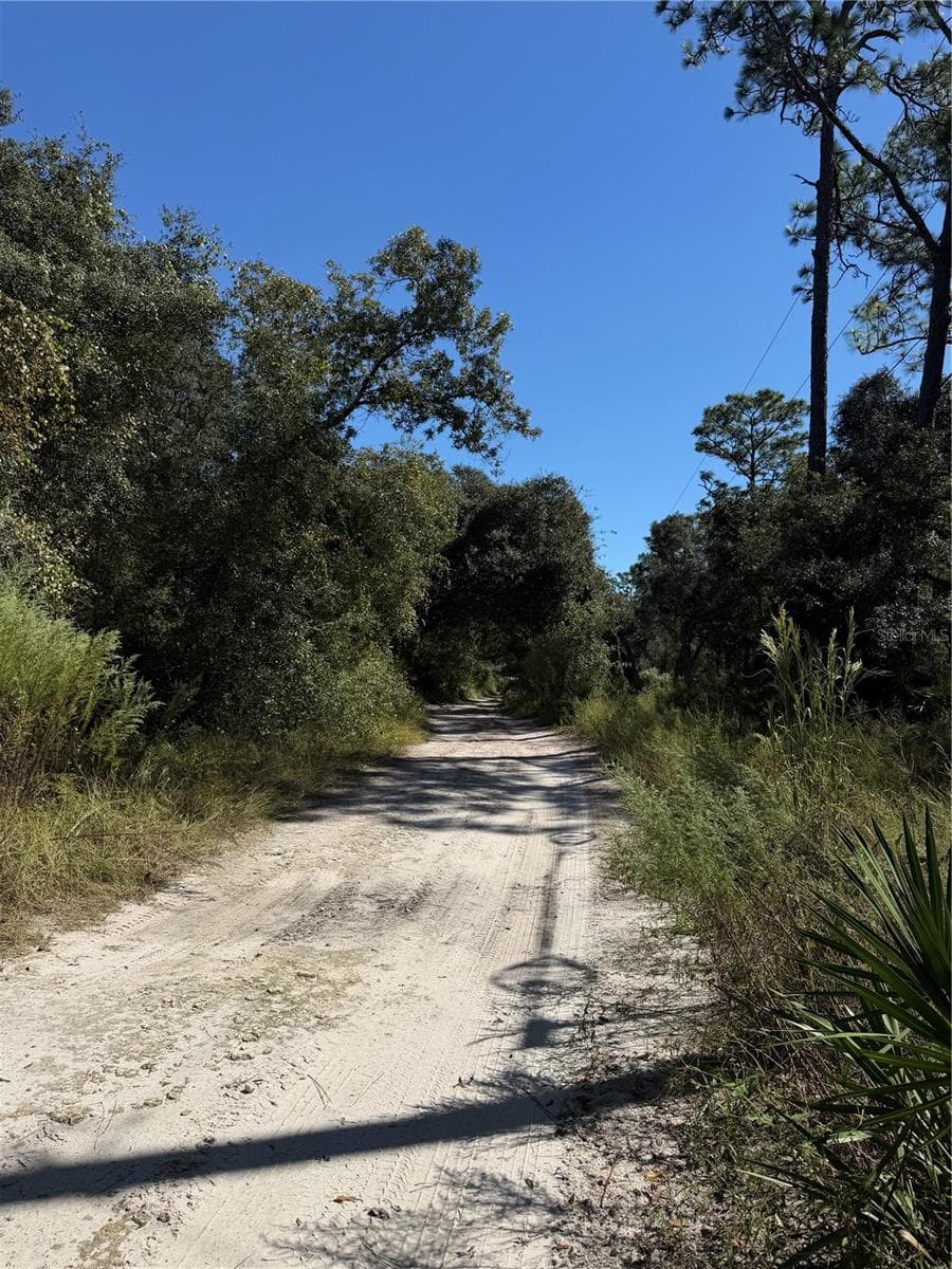Land at TBD SW 151ST PL, DUNNELLON, photo 3 of 4