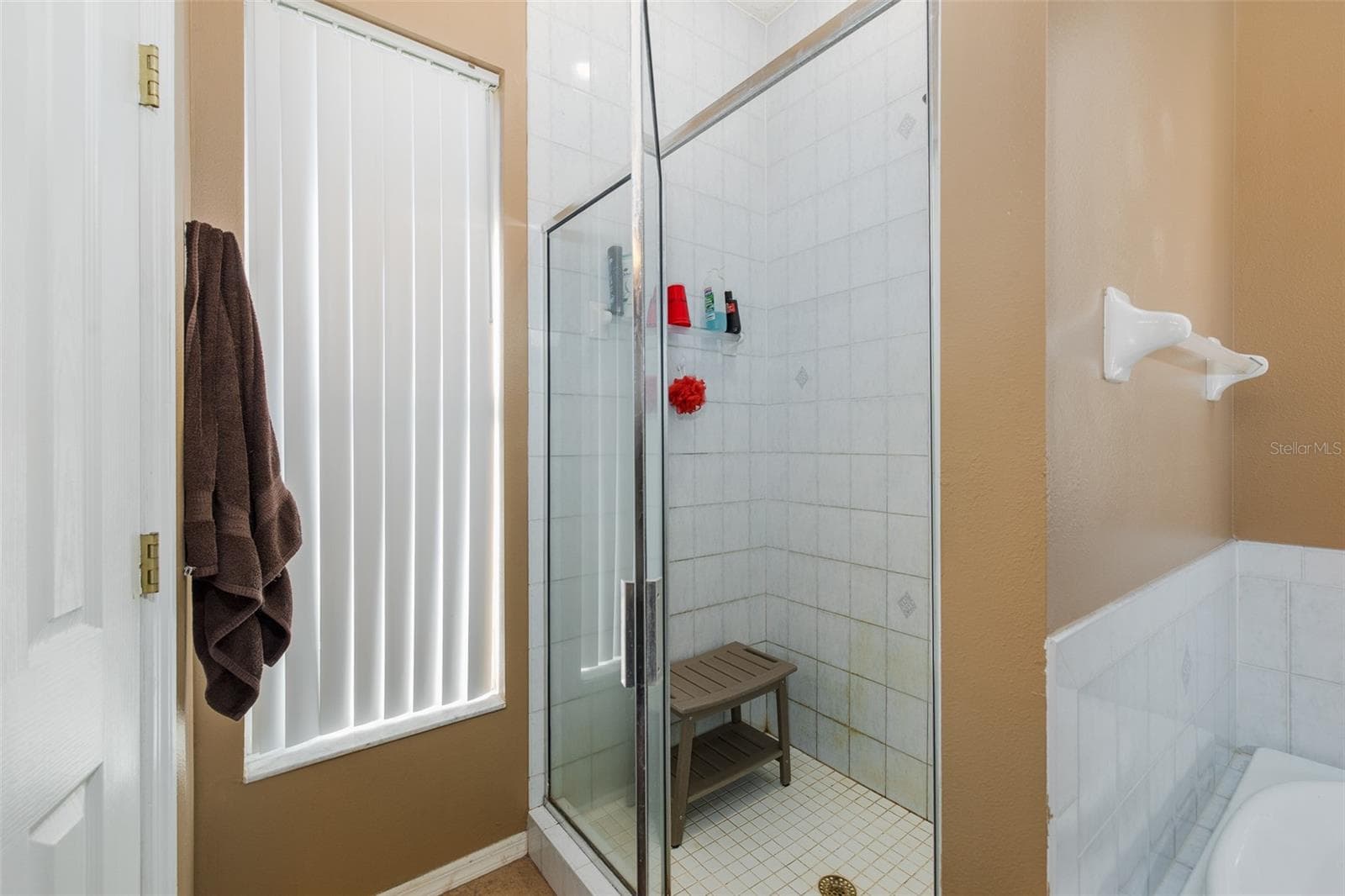 Primary en-suite bath - 31524 CROSS CREEK LN, WESLEY CHAPEL