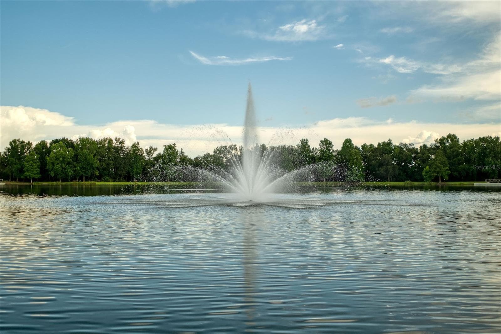 Lake Reinhard Fountain - 460 WATER ST #460, CELEBRATION