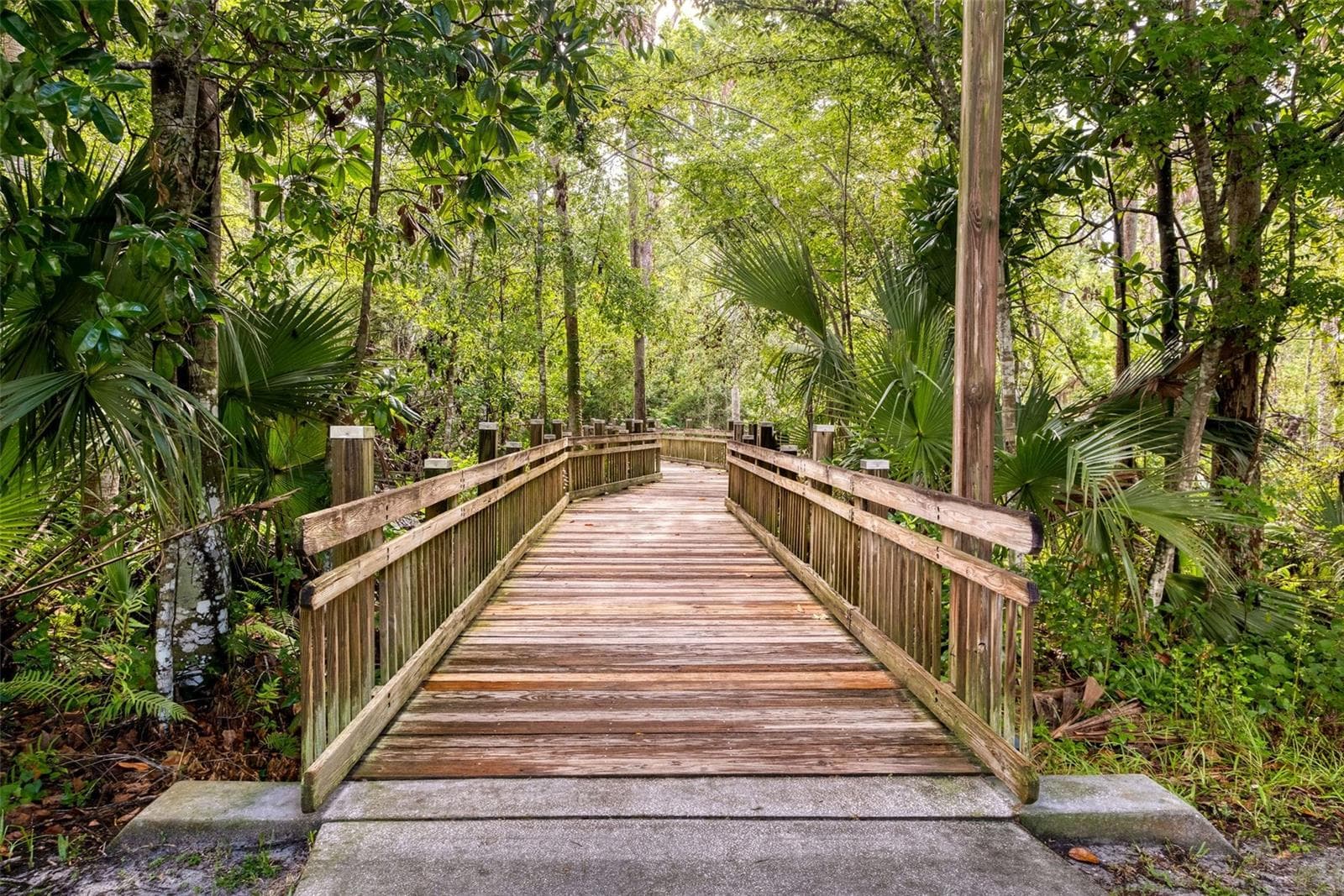 Walking Cycling trails - 460 WATER ST #460, CELEBRATION
