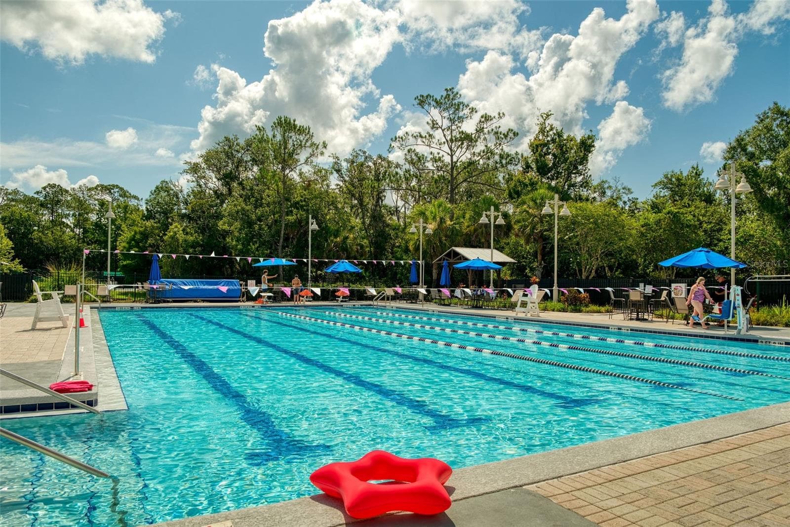 Lakeside Pool - 460 WATER ST #460, CELEBRATION