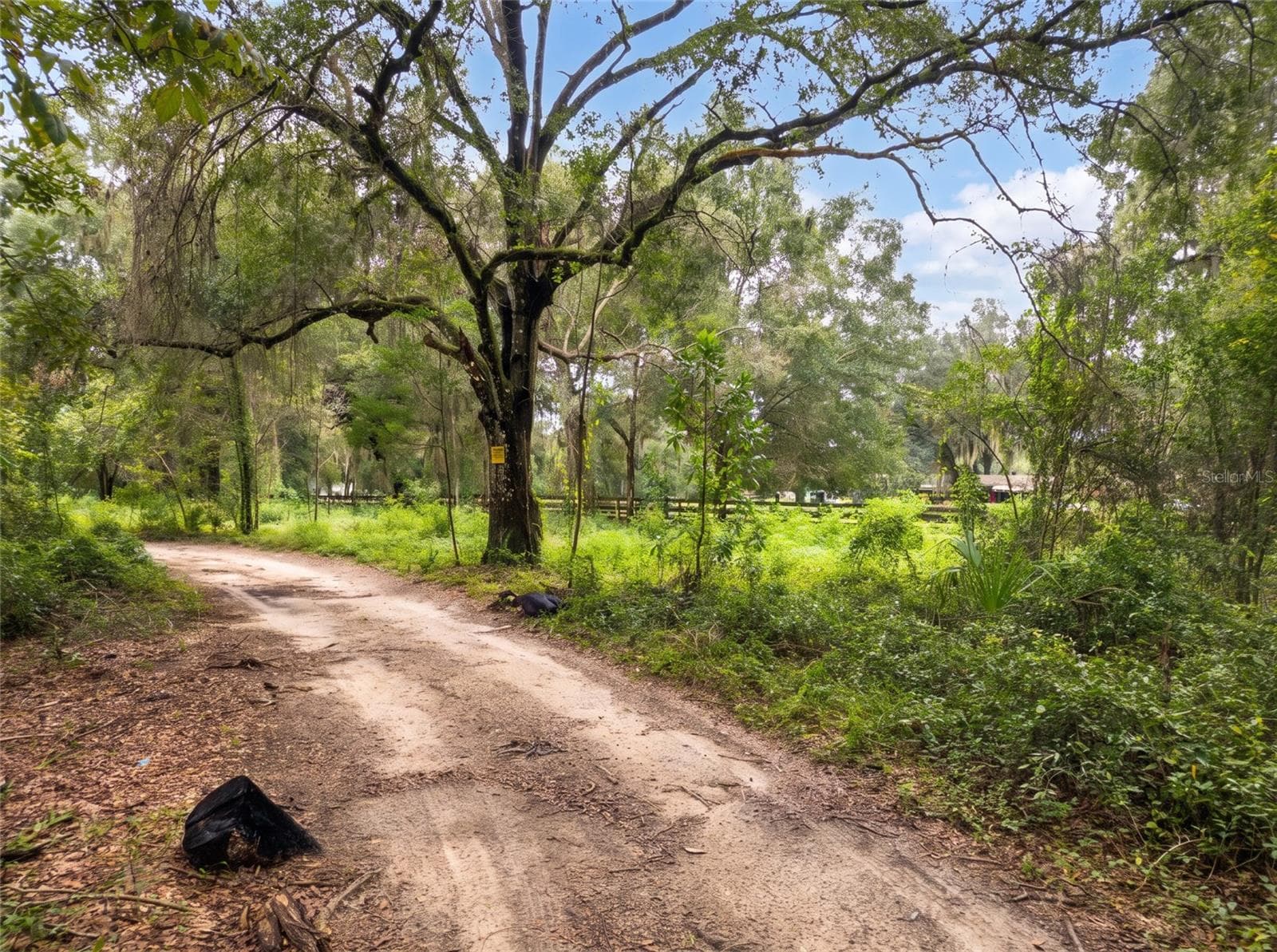 Field on West side of Property - 5900 NW 190TH ST, REDDICK