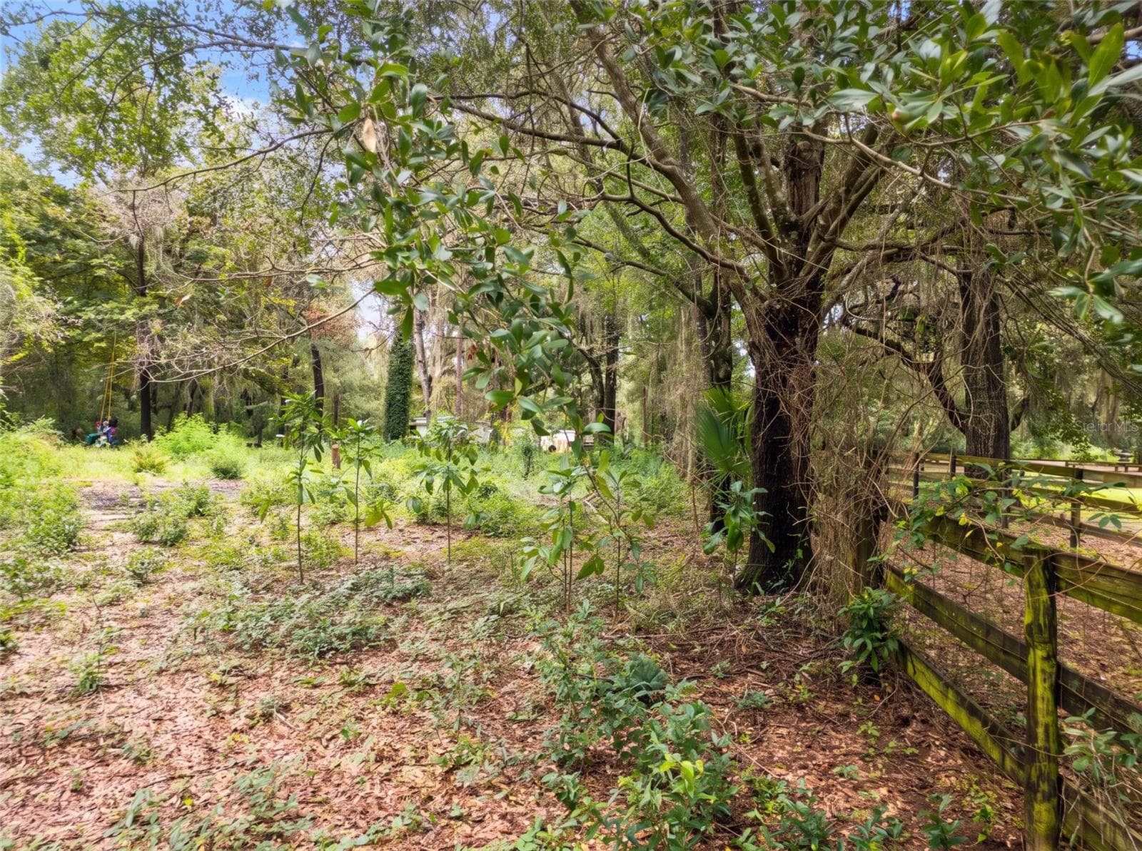Abutting Horse Laneway from SW Corner - 5900 NW 190TH ST, REDDICK