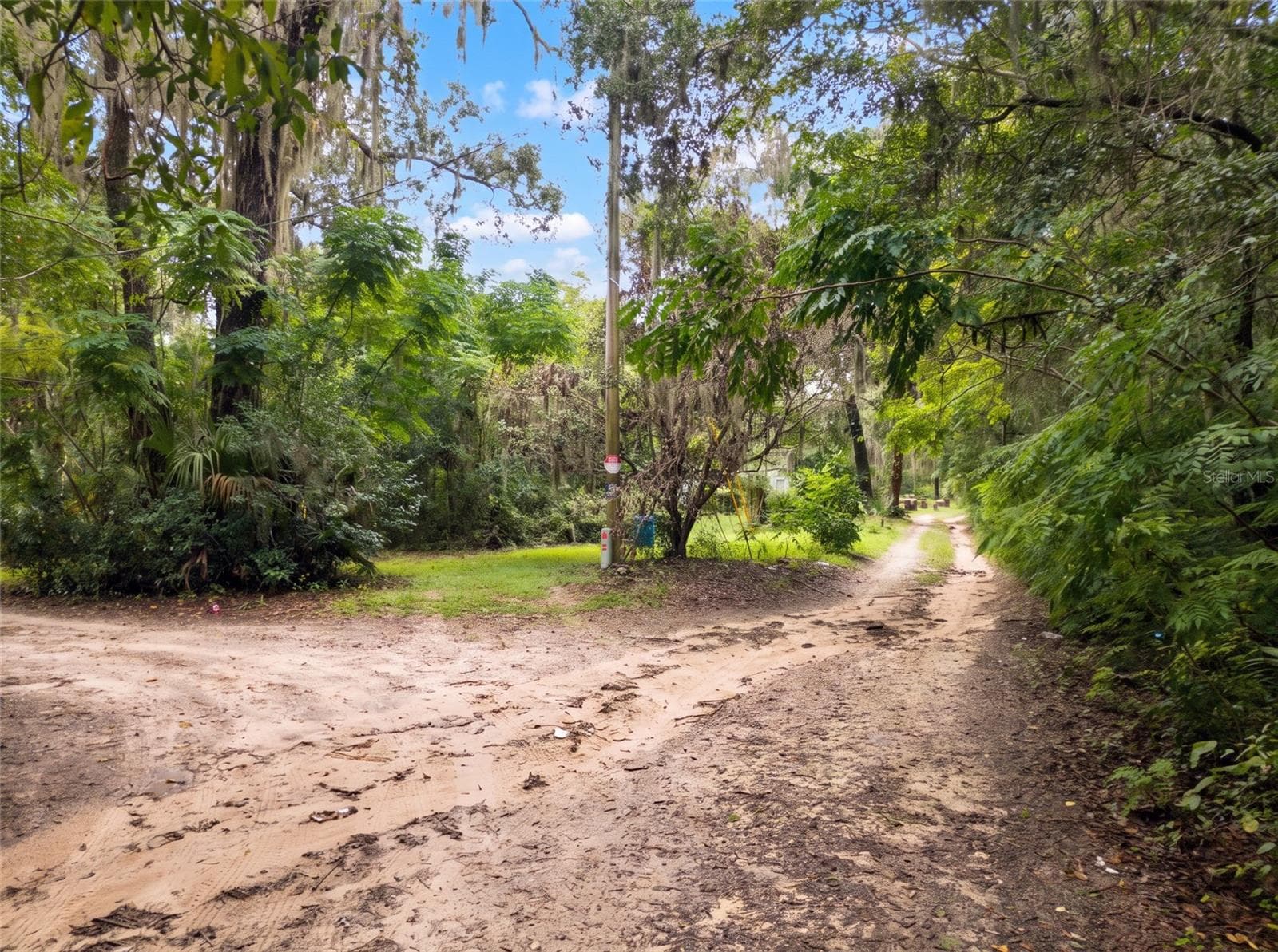 Driveway into Lot from East Entrance - 5900 NW 190TH ST, REDDICK