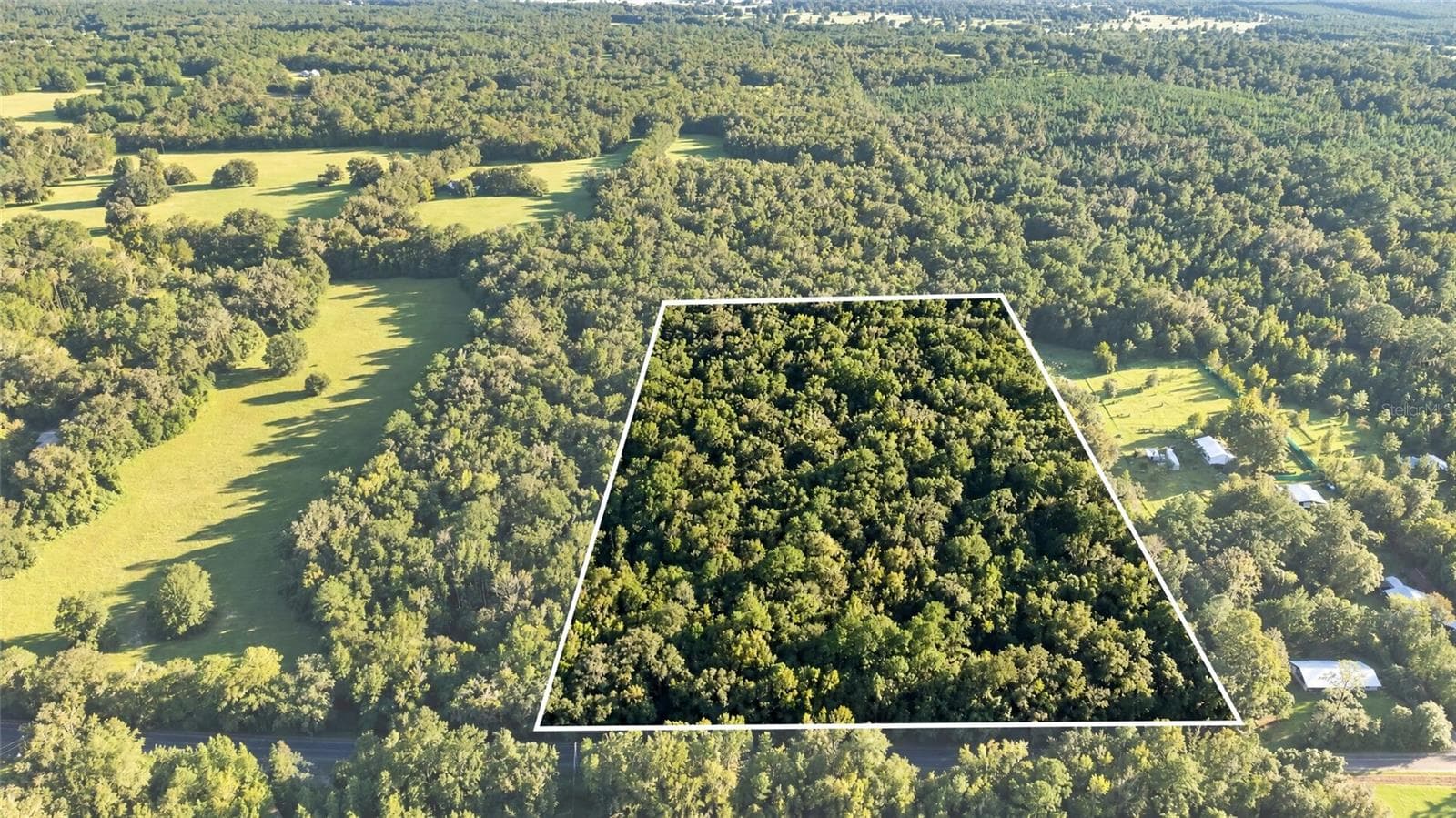 Land at TBD NW 200TH ST, MICANOPY, photo 2 of 19