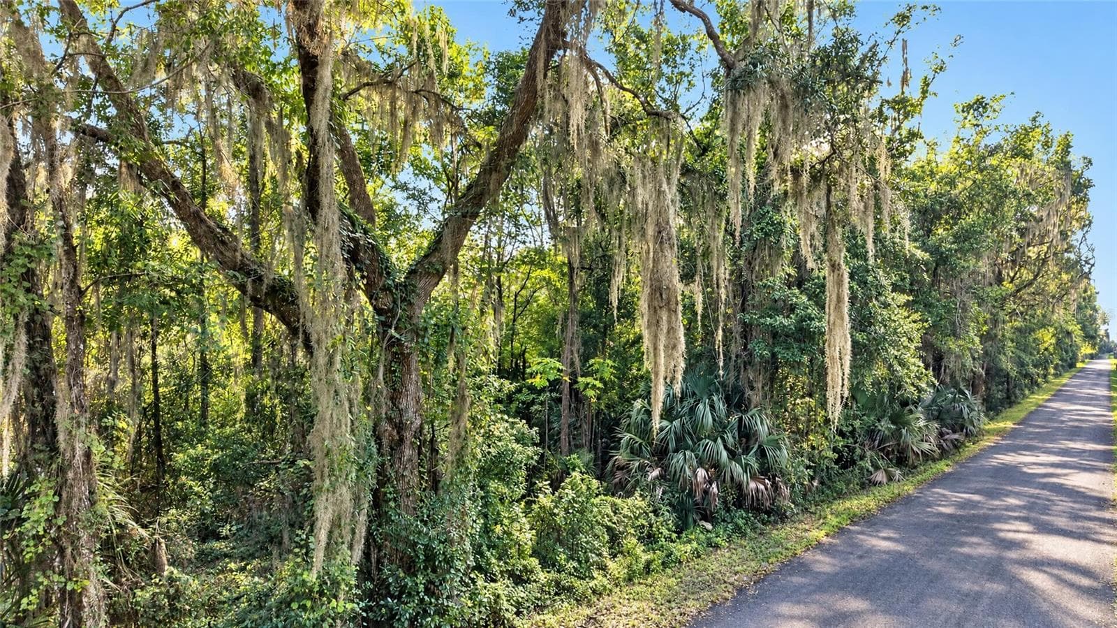 Land at TBD NW 200TH ST, MICANOPY, photo 3 of 19