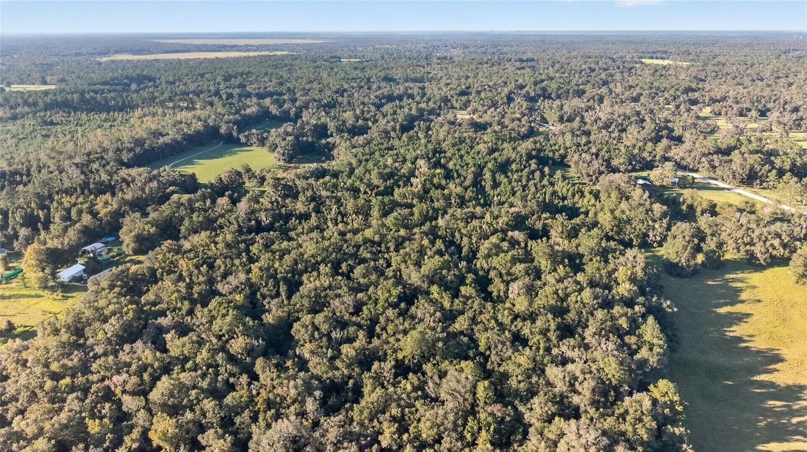 Land at TBD NW 200TH ST, MICANOPY, photo 7 of 19