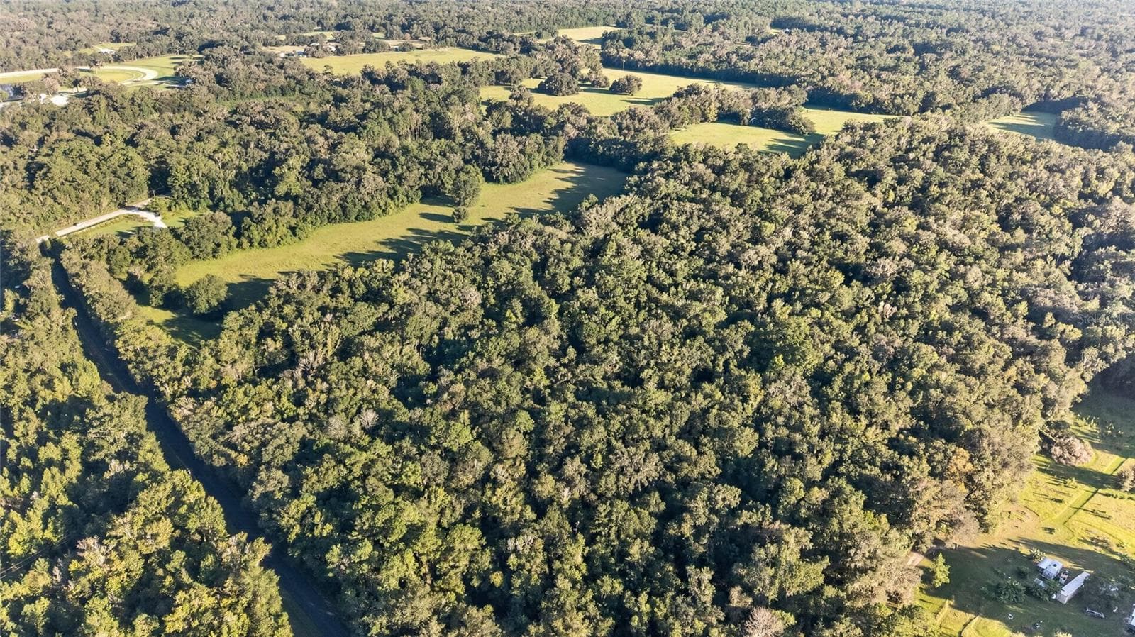 Land at TBD NW 200TH ST, MICANOPY, photo 11 of 19