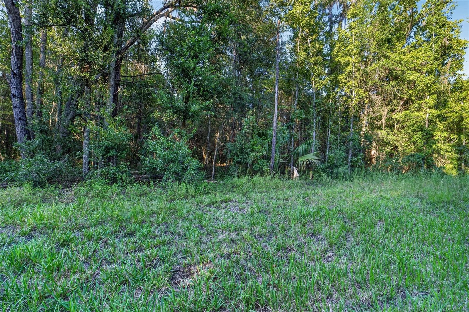 Land at TBD NW 200TH ST, MICANOPY, photo 16 of 19