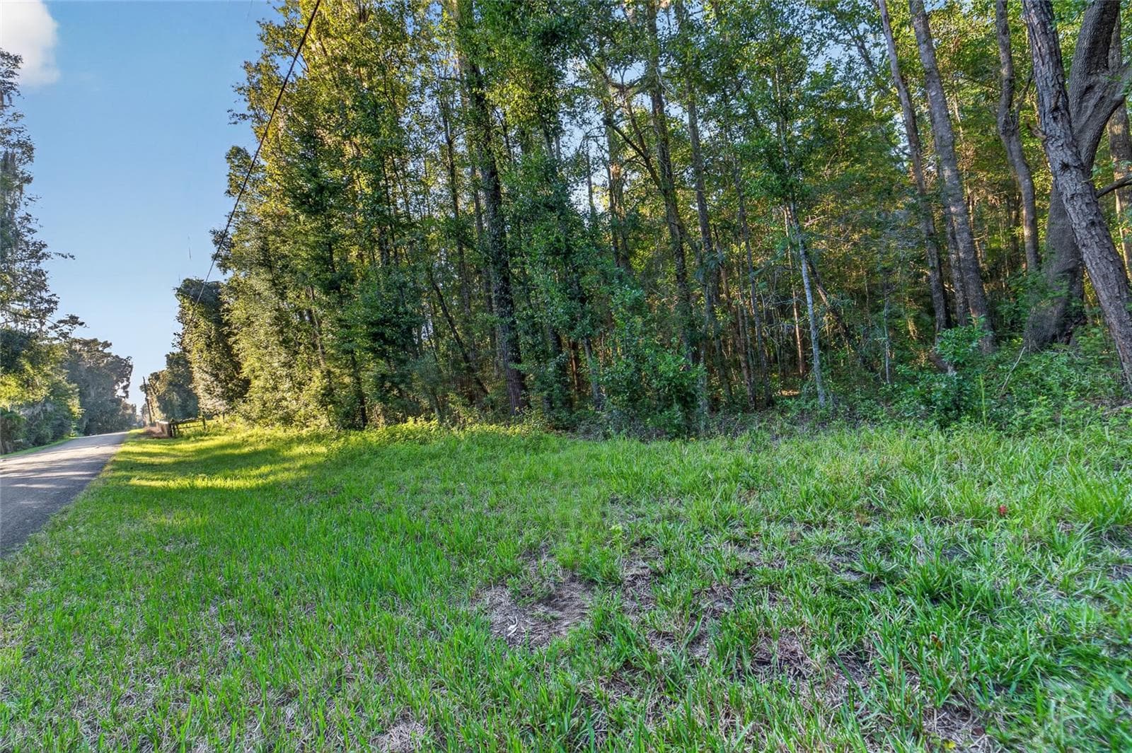 Land at TBD NW 200TH ST, MICANOPY, photo 17 of 19