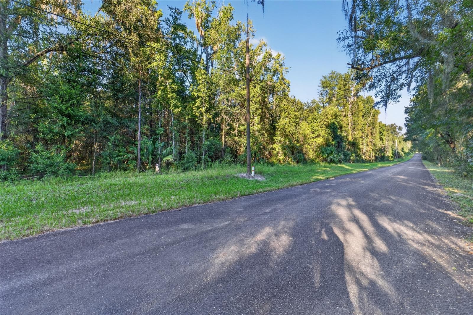 Land at TBD NW 200TH ST, MICANOPY, photo 18 of 19