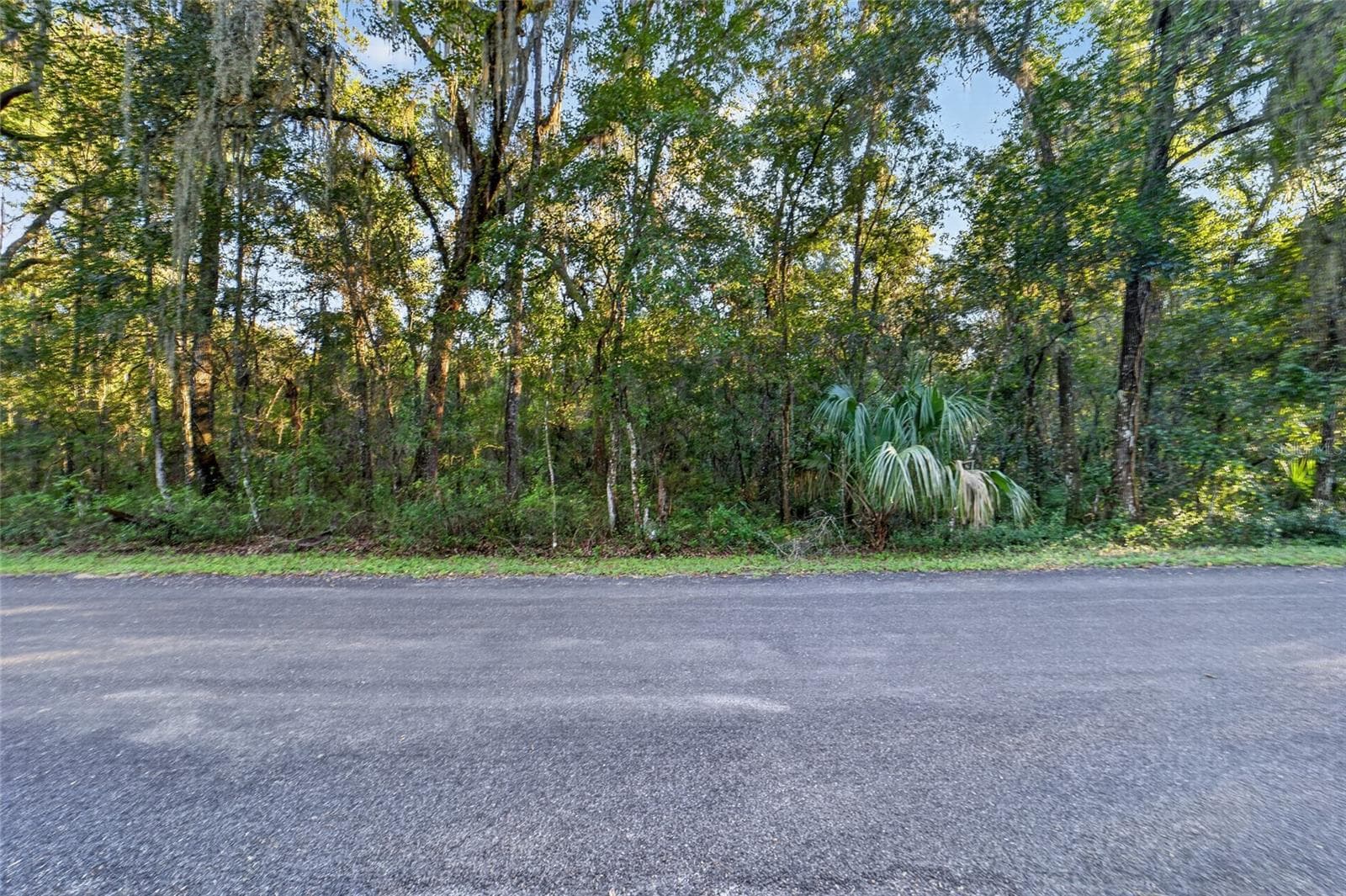 Land at TBD NW 200TH ST, MICANOPY, photo 19 of 19