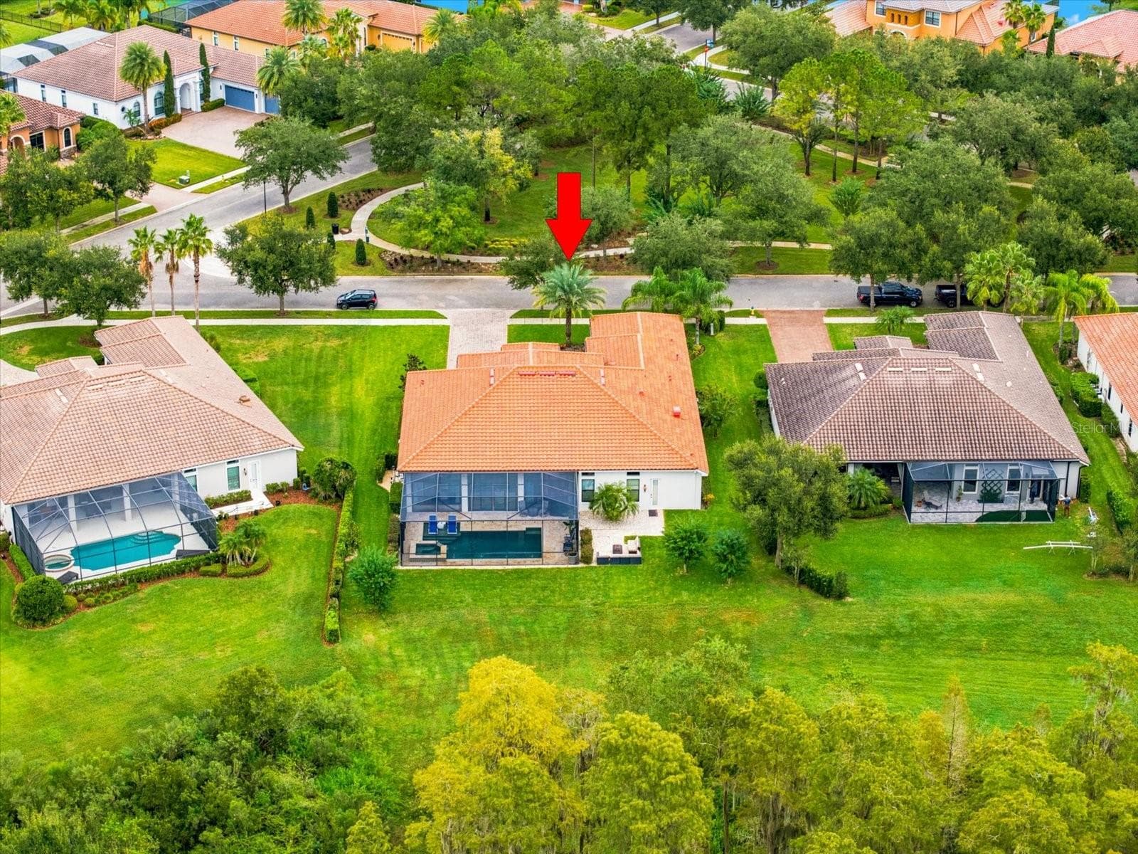 Single Family Residence at 17314 SAN ARINGO PL, LUTZ, photo 12 of 97