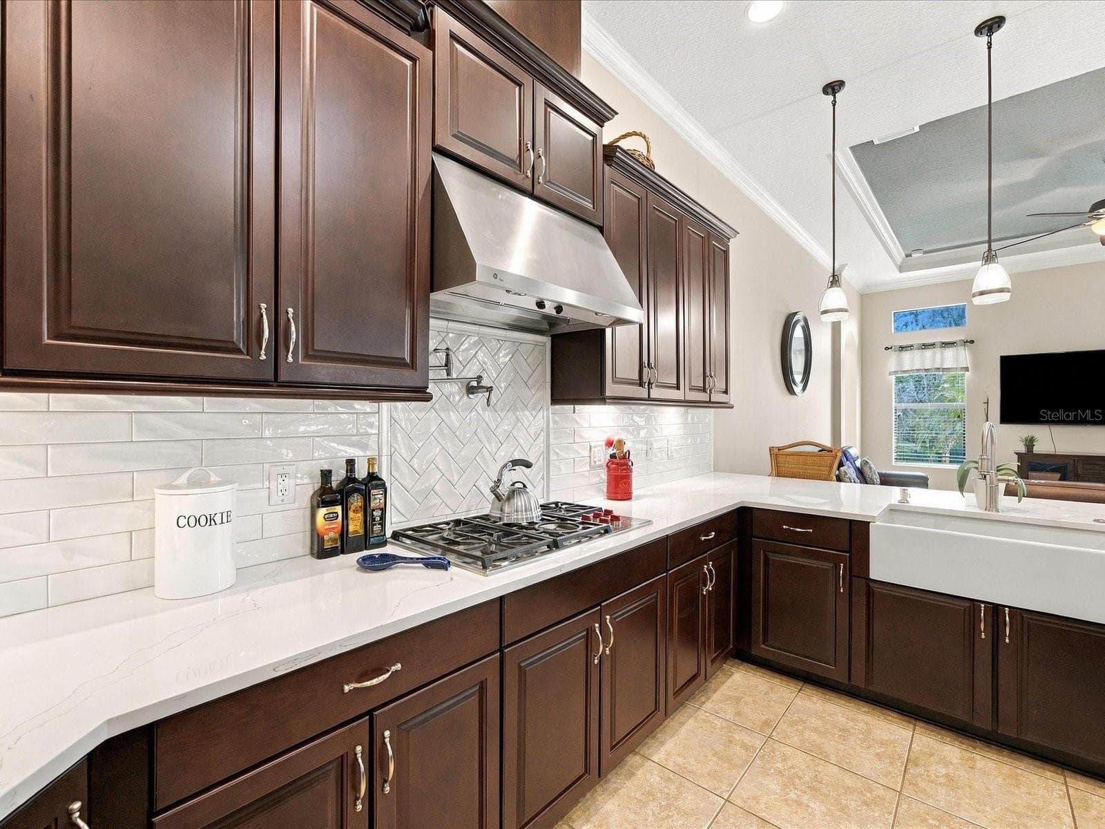 Single Family Residence at 17314 SAN ARINGO PL, LUTZ, photo 40 of 97