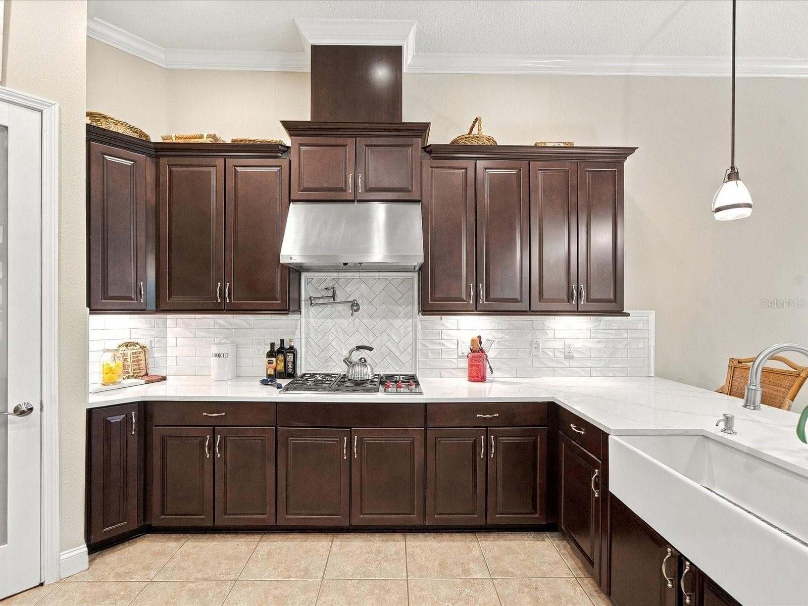 Single Family Residence at 17314 SAN ARINGO PL, LUTZ, photo 45 of 97