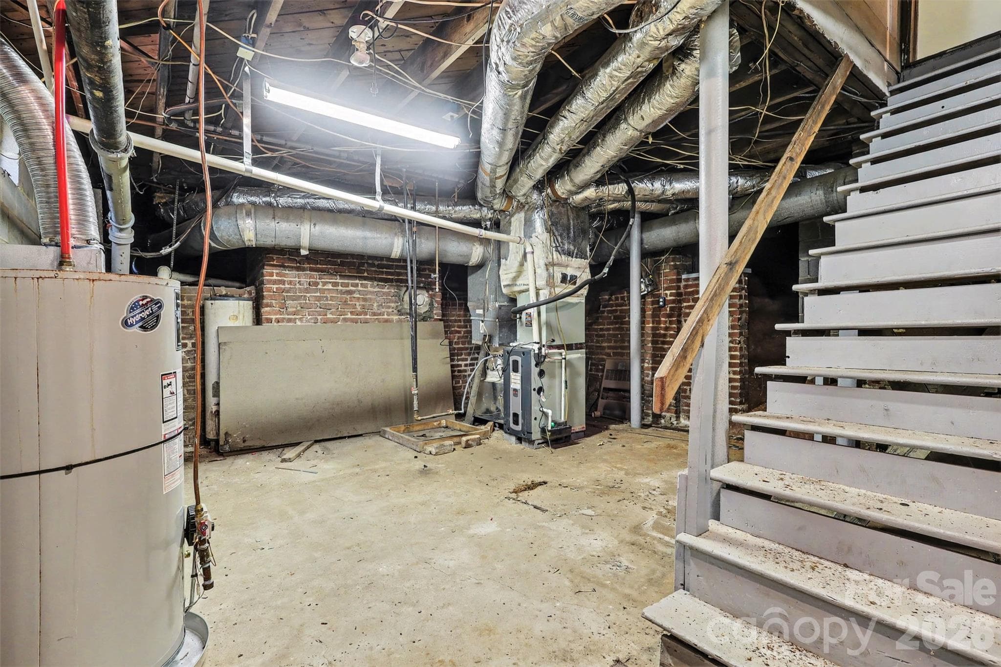 Basement - 510 Hawthorne Lane, Charlotte