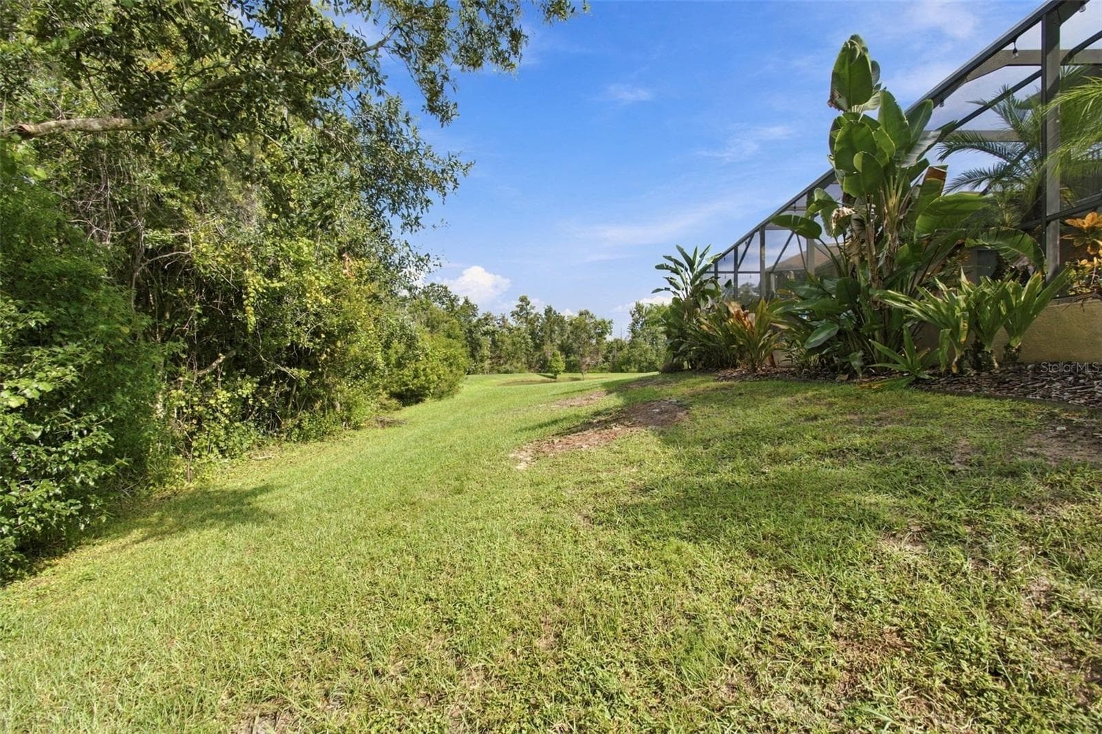 Single Family Residence at 3339 DIAMOND FALLS CIR, LAND O LAKES, photo 79 of 100