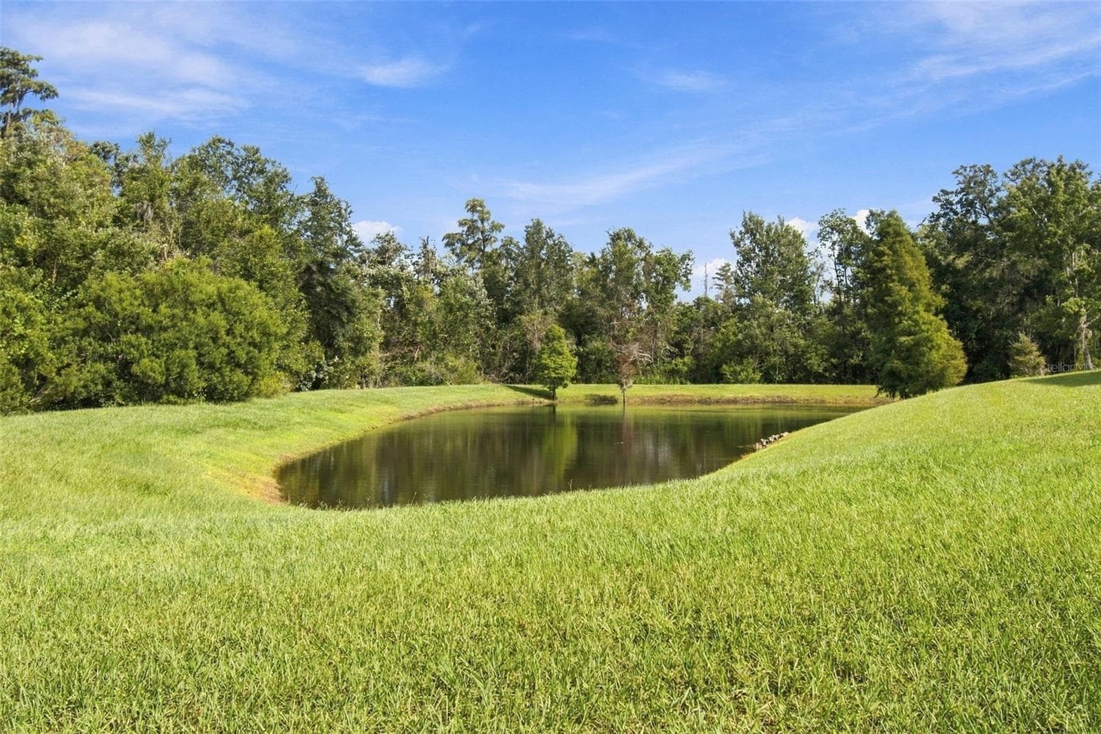 Single Family Residence at 3339 DIAMOND FALLS CIR, LAND O LAKES, photo 80 of 100