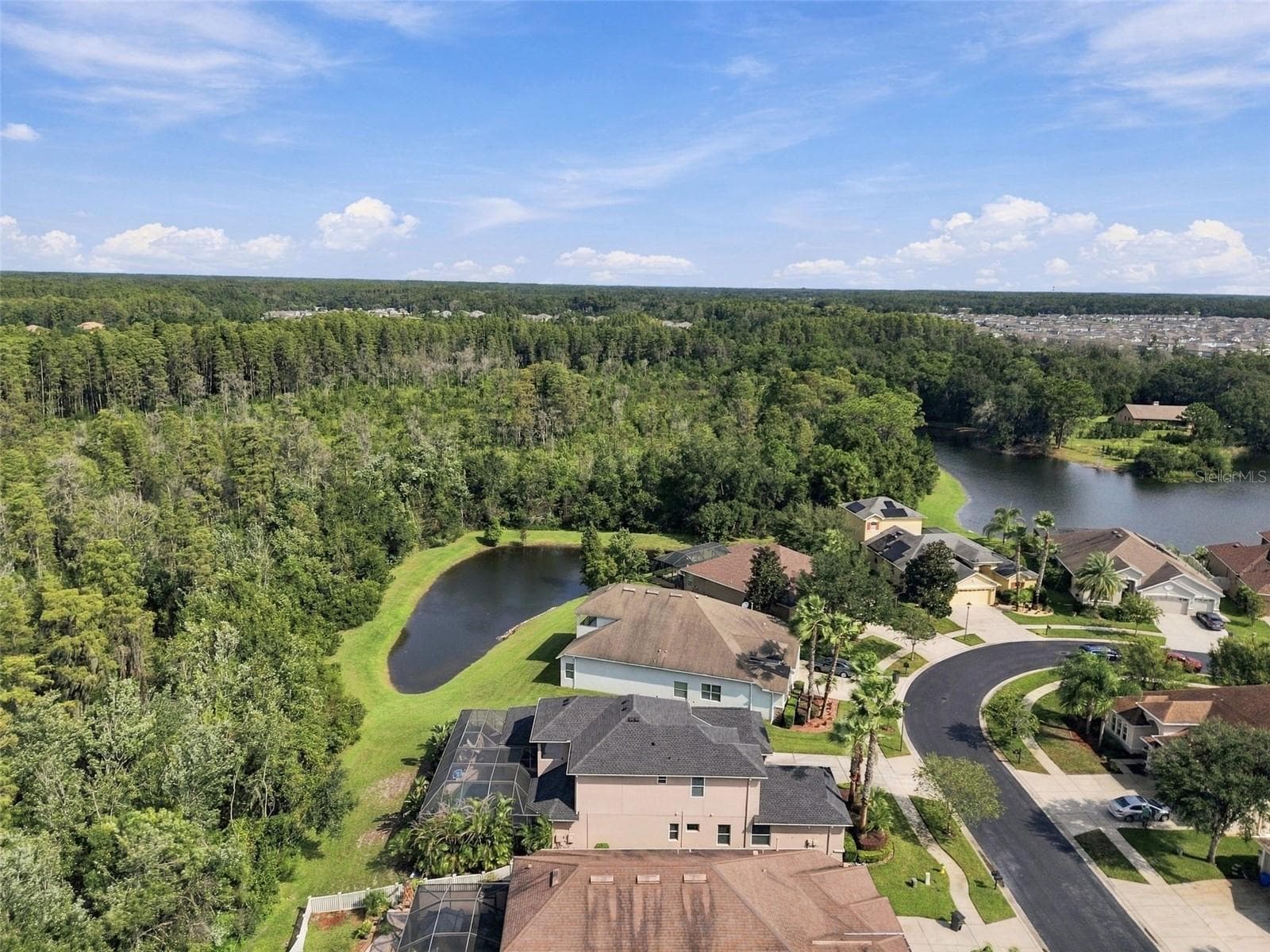 Single Family Residence at 3339 DIAMOND FALLS CIR, LAND O LAKES, photo 83 of 100