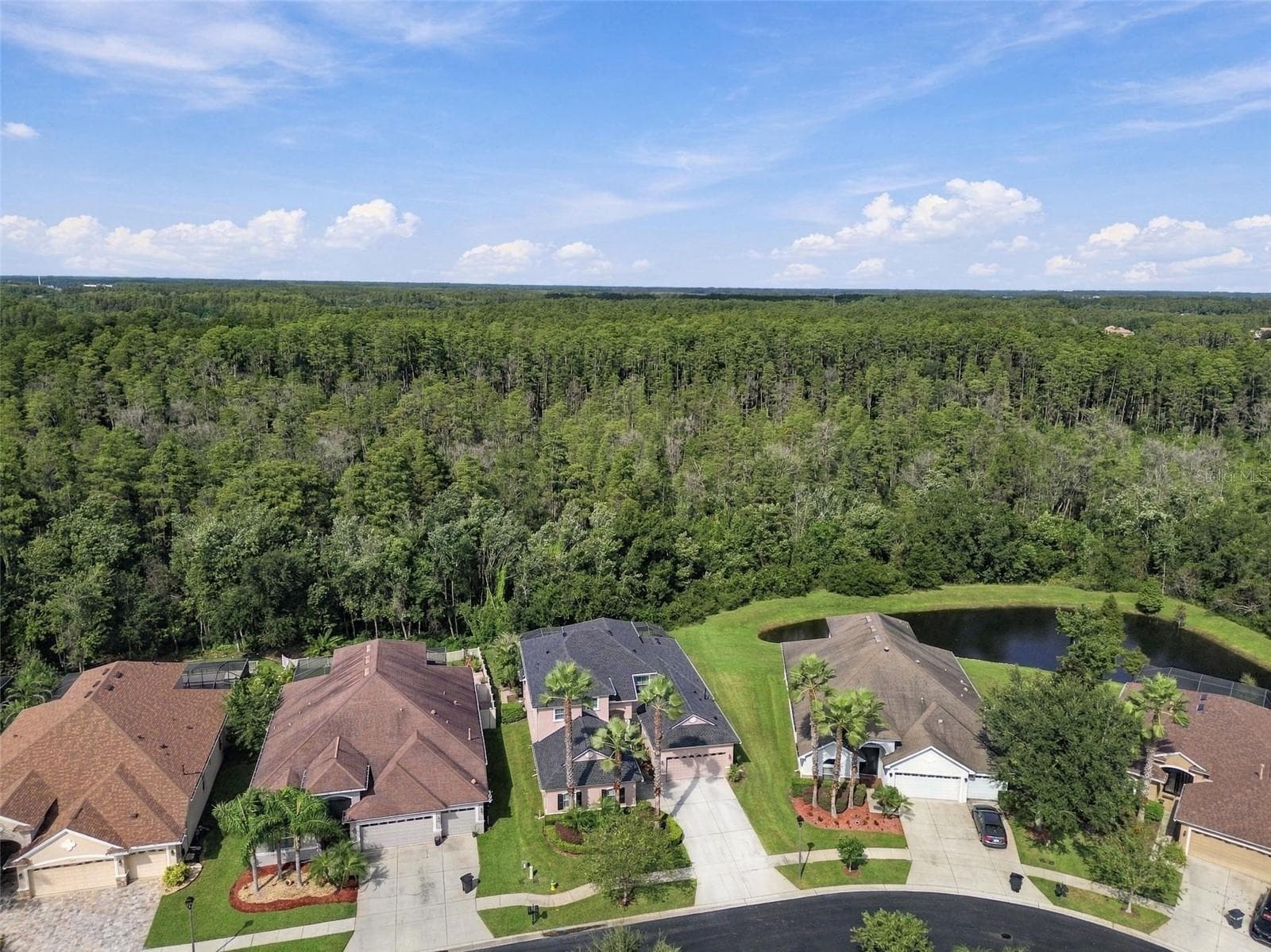 Single Family Residence at 3339 DIAMOND FALLS CIR, LAND O LAKES, photo 84 of 100
