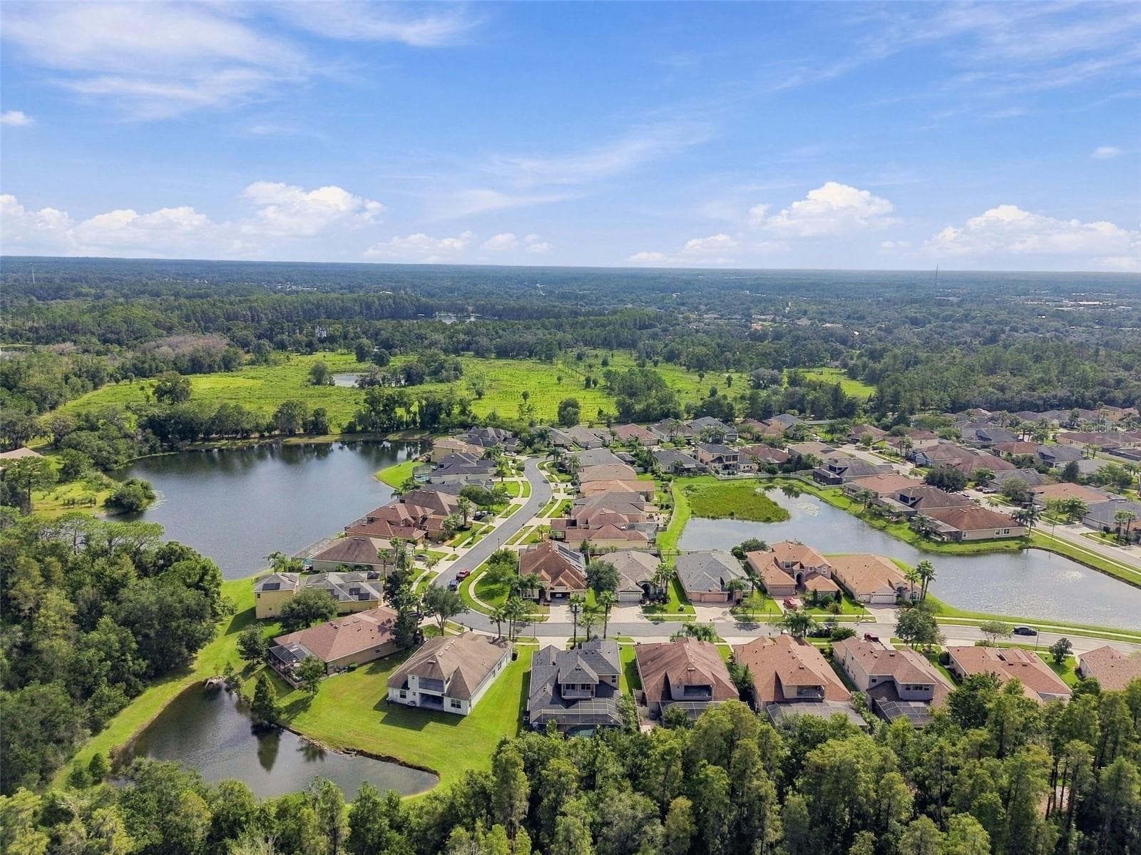 Single Family Residence at 3339 DIAMOND FALLS CIR, LAND O LAKES, photo 85 of 100