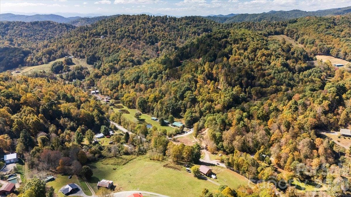 Lot at TBD Puncheon Fork Road, Mars Hill, photo 4 of 26