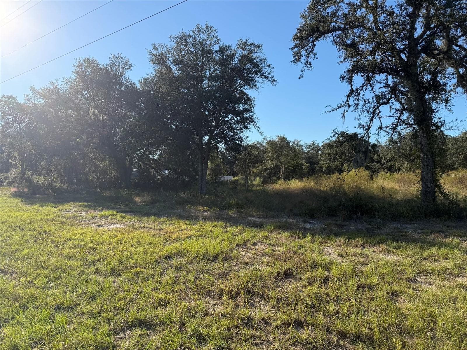 Land at TBD NE 106TH TER, BRONSON, photo 4 of 5