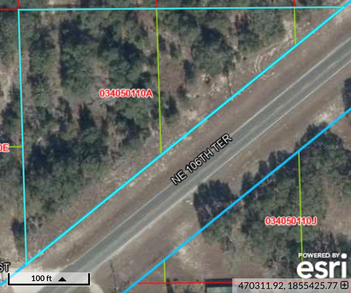 Land at TBD NE 106TH TER, BRONSON, photo 5 of 5