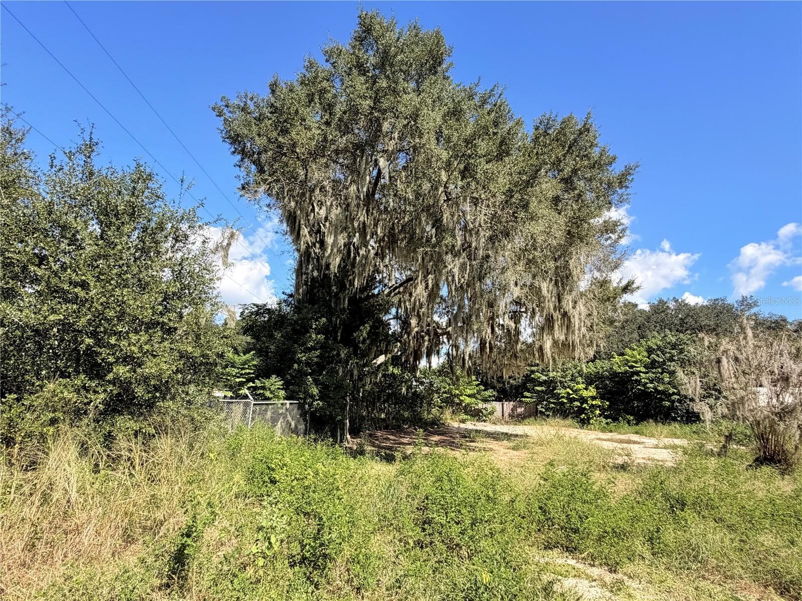 Land at 10306 DWIGHTS RD, CLERMONT, photo 7 of 16