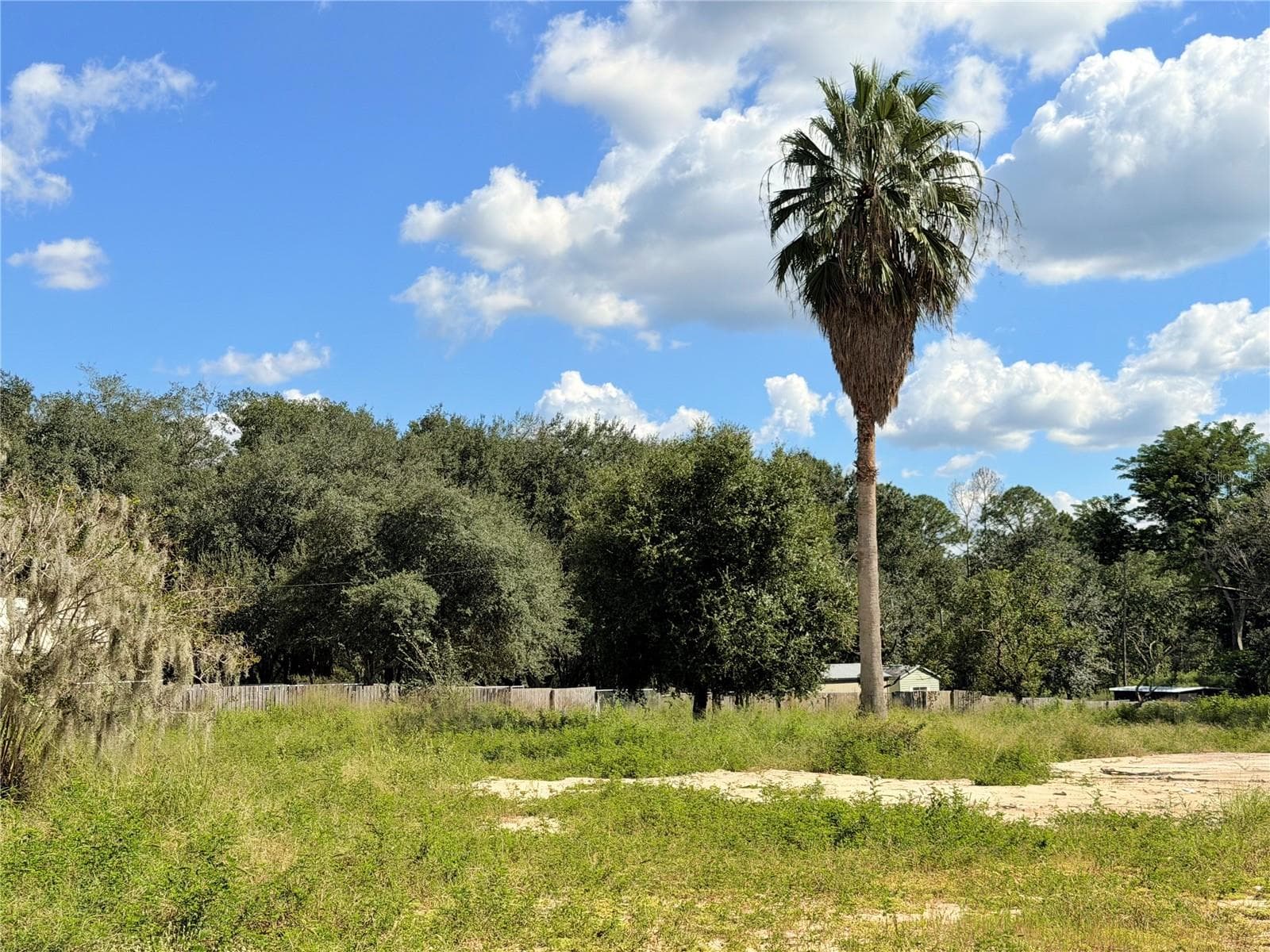 Land at 10306 DWIGHTS RD, CLERMONT, photo 9 of 16