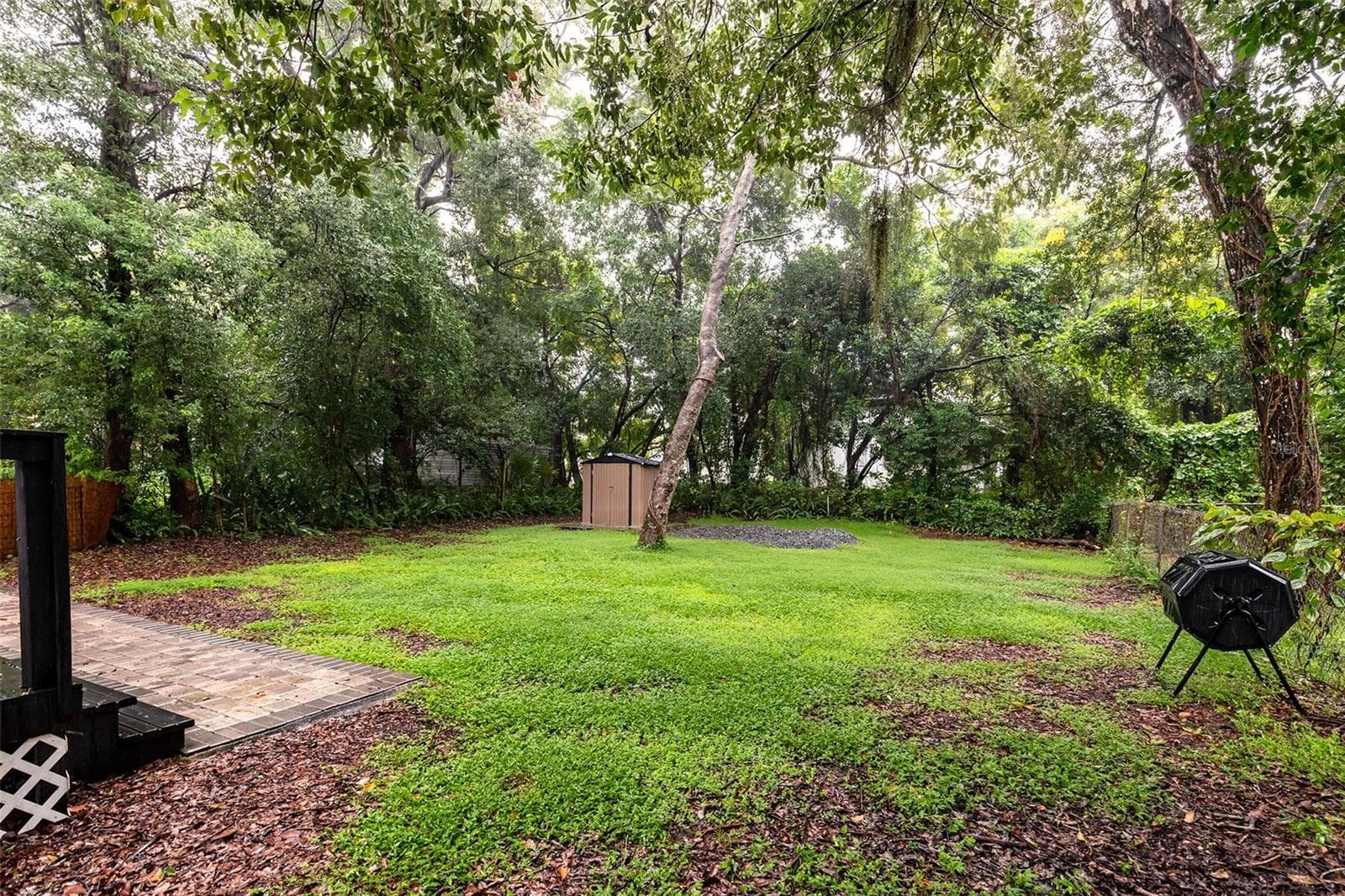 Backyard - 101 S GLENWOOD AVE, ORLANDO
