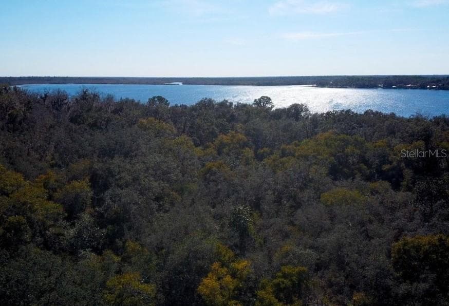 Enjoy a scenic bike ride to Lake Beresford Park! Experience nature, paved trails, and beautiful views. - 2919 KATIE ANN WAY, DELAND