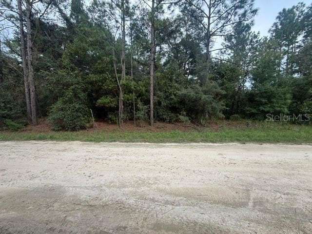 Land at 0 SW 130 TER, DUNNELLON, photo 3 of 6