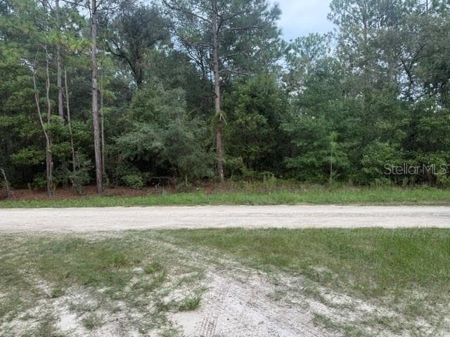 Land at 0 SW 130 TER, DUNNELLON, photo 4 of 6
