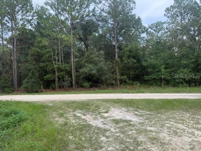 Land at 0 SW 130 TER, DUNNELLON, photo 5 of 6