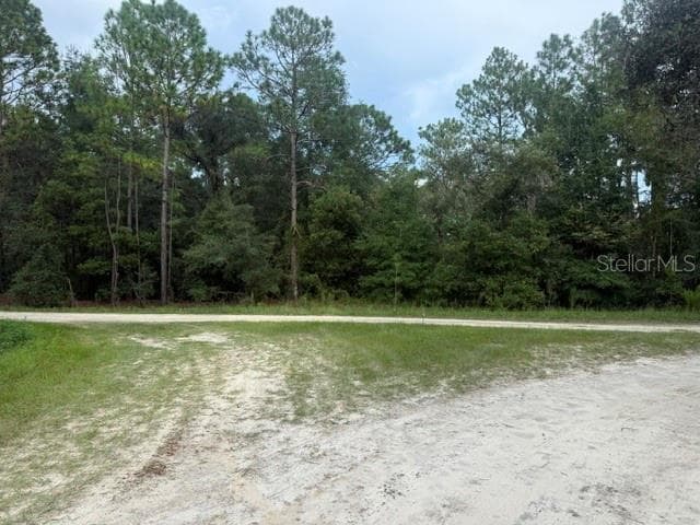 Land at 0 SW 130 TER, DUNNELLON, photo 6 of 6